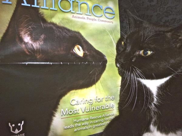 /Images/uploads/Humane Rescue Alliance/HRACalendarPhotoContest/entries/8626thumb.jpg